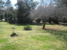 Holly Knolls 
