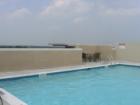 Carlton House Pool
