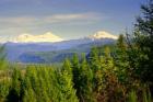 Three Sisters Mountains, North, Middle and South from the McKenzie Bridge area