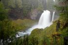 Sahalie Falls, McKenzie River, McKenzie Valley, Oregon