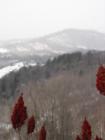 Looking toward Roan Mountain