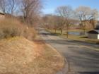 street with skating pond