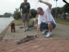 Another view of big catfish with the fisherman Bobby his son, and Rhett Buttler who is Liz Carter's dog, they were walking around the lake and caught the shoot just as Mr. Big was pulled in, of course he was put back, it's catch and release only!