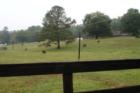 Cherokee County