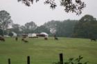 Cherokee County