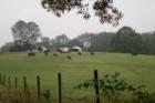 Cherokee County