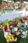 Haiku Ho'olaulea Flower Festival - Haiku Maui Hawaii - flowers for sale