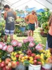 Haiku Ho'olaulea Flower Festival - Haiku Maui Hawaii - more buckets of flowers for sale in Haiku