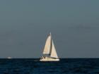 BAL HARBOUR SERENITY