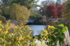 Forest Park 2007, St Louis MO- Tim Tanz, Realtor