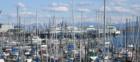 The Bainbridge-Seattle ferry through sailboat masts at the marina.  Seattle looks beautiful in the background!