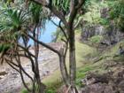 ocean view from the rugged north shore of Maui - Kailua Maui HI
