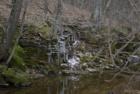 Frozen waterfall into creek at lost valley trail