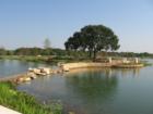 A bubbling stream, beautiful walking trails, a multi-level resort style pool and tranquil lakes greet you as you enter the master planned community of Firethorne. For more information call Tim at 713-822-2152 or visit www.seetimsell.com 