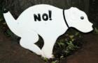 Those silly merchants of New Hope !  I didn't know dogs knew how to read . . .