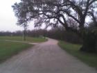 Road in to Doty River Estates