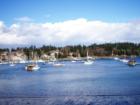 Sailboats moored in Eagle Harbor on a beautiful sunny March afternoon.