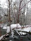 The Rio Ruidoso in Early Winter. Photo by Susan L. Hixon. All Rights Reserved.