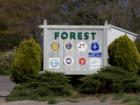 Welcome to Forest, Virginia!