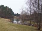 Spring Lake, Forest