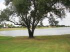The beautiful multi-lake community of Crestwater. For more information about homes in this spectacular neighborhood contact Tim Sojka at 713-822-2152 or go to www.seetimsell.com