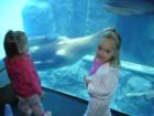 Zoo