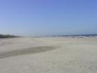 From Atlantic Beach to Ponte Vedra, the beach looks like this at low tide.  