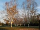 Spruce Run Recreational Area