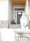 We have a visitor in our gated community last week....who's living in who's neighborhood?!  It's hard to tell sometimes here in the Pacific Northwest!!