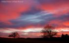 Photo of sunset at Orchard Hills Golf Course