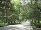 Forsyth Park