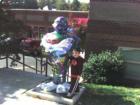 Hokie Bird at Tech Bookstore