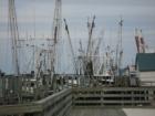 Can't have pictures of Fernandina without the shrimp boats. Fernandina Beach Shrimp Festival May 1-4, 2008