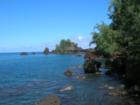 What a paradise in Hana!