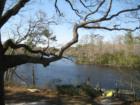 Brices Creek view, New Bern, N.C.