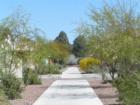 Armory Park del Sol sustainable green community neighborhood. 