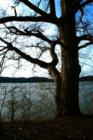 Chapel Point State Park, A local waterfront park in Port Tobacco