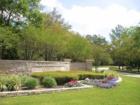 Gorgeous Longwood Village. From the 170's to mid 800's. Championship Golf & MUCH more..