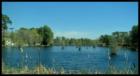 Belle Isle Lake for residents to enjoy.