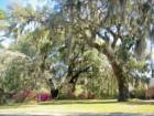 Belle Isle, Georgetown SC - WELCOME HOME !