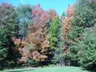 ...Autumn