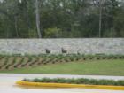 Entrance to The Village of Creekside Park off Gosling Road