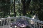 View of a Murphys Vacation rental
      
      Goto www.BigTreesRealty.com