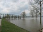 Mud Island River Walk Park with Mississippi River at flood crest  4/2/2008