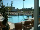 The Meridian at Mt. Pleasant community pool