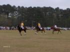 Stretching out at the Rose Hill Polo Match!