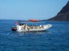 A snorkle boat