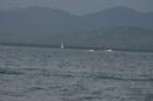 Lake Chatuge