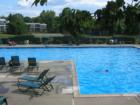 Largest condo pool in the area