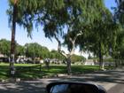 One of many neighborhood parks..Culver City